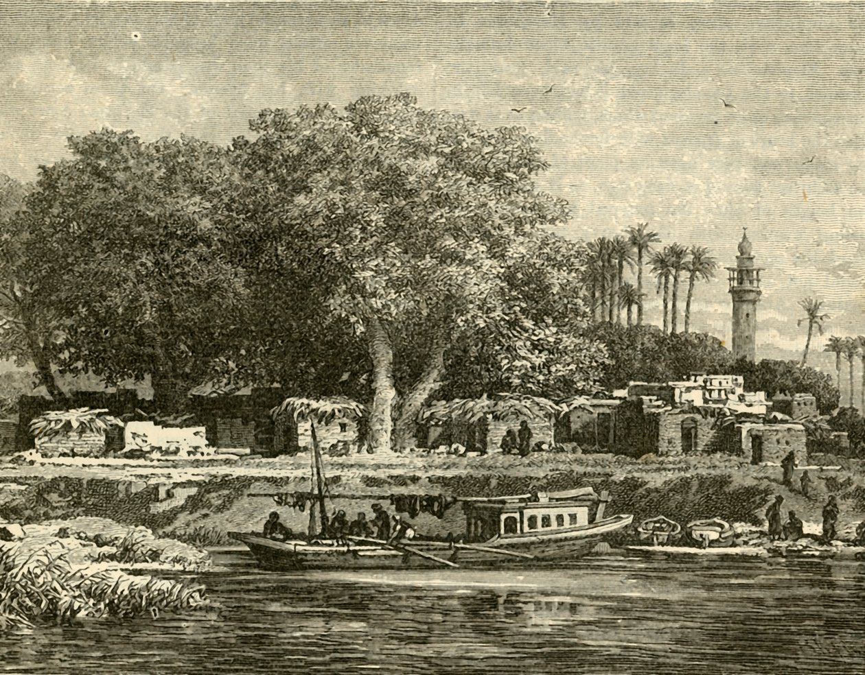 尼罗河三角洲景观，1890年。 作者 不明