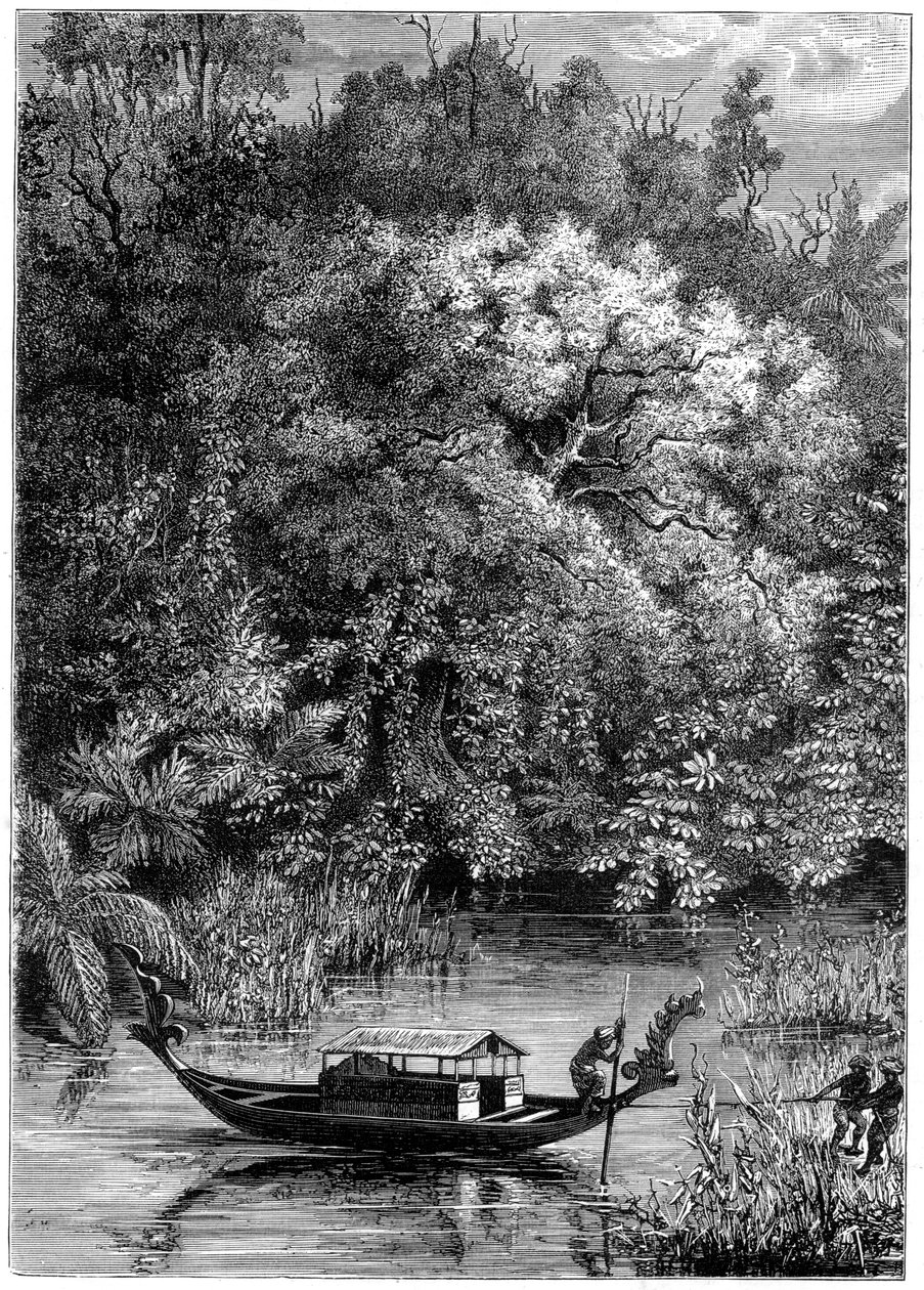新几内亚多丁加河上的风景，1877年 作者 不明