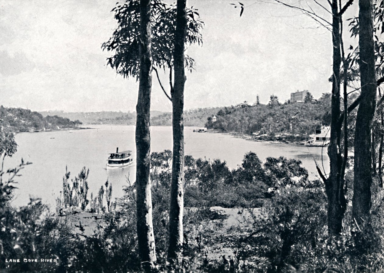在莱恩科夫河上的景色，c1900年。 作者 不明