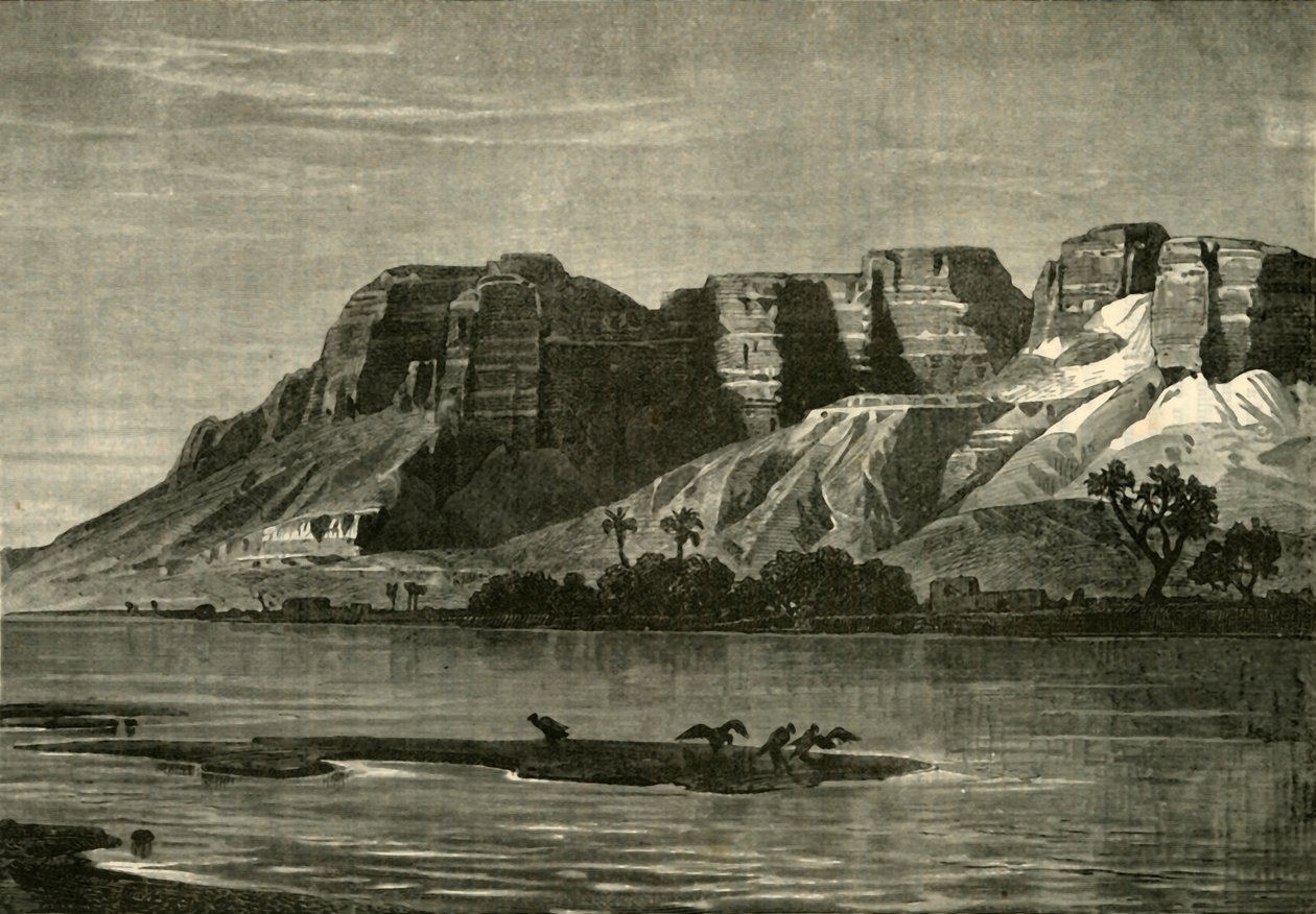 尼罗河景观，1890年。 作者 不明