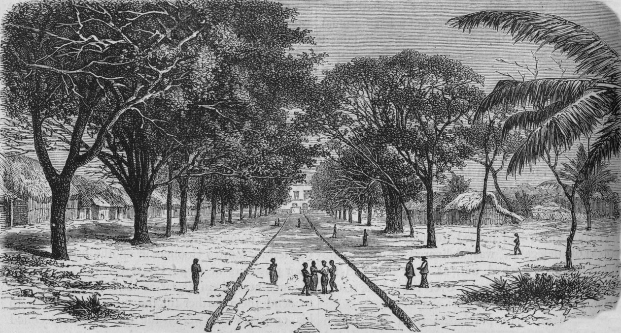 非洲西海岸的村庄，c1880年 作者 不明