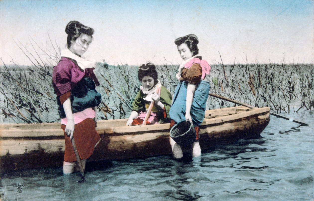 法国复古明信片，c1900 作者 不明