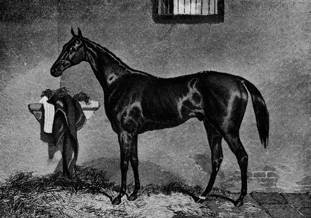 Voltigeur，1847-1874年，1911年 作者 不明