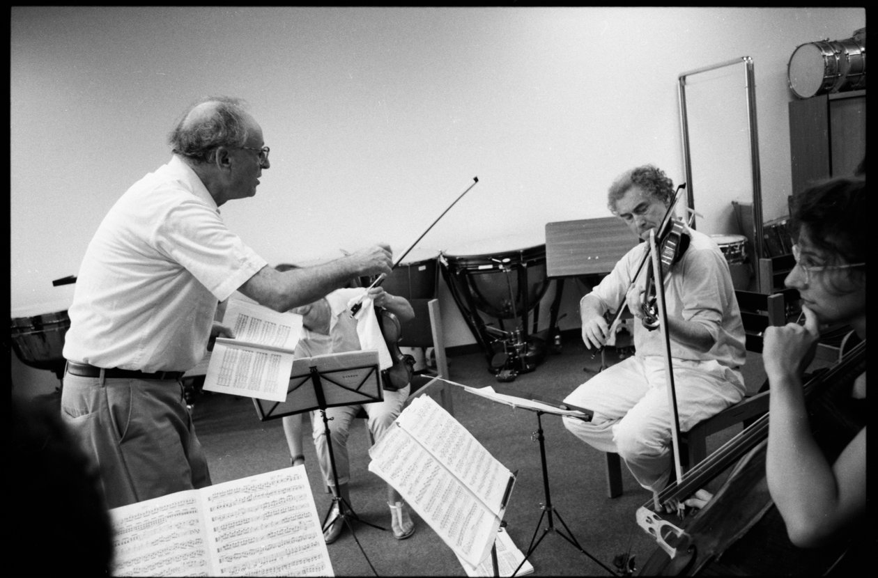 Walter Levin - 莫扎特的大师班 作者 不明