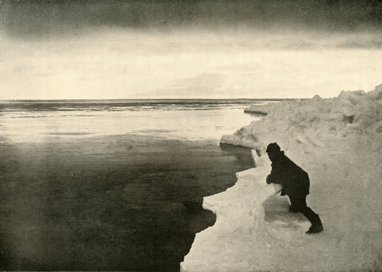 1909年，在冰边观看海豹的袭击，1909年。 作者 不明