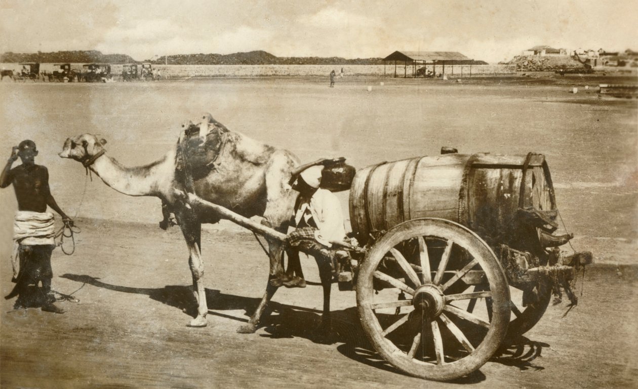 水车，亚丁，c1918-c1939。 作者 不明