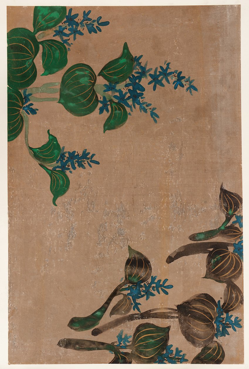 蓝色花朵的水草，江户时期，1615-1868。 作者 不明