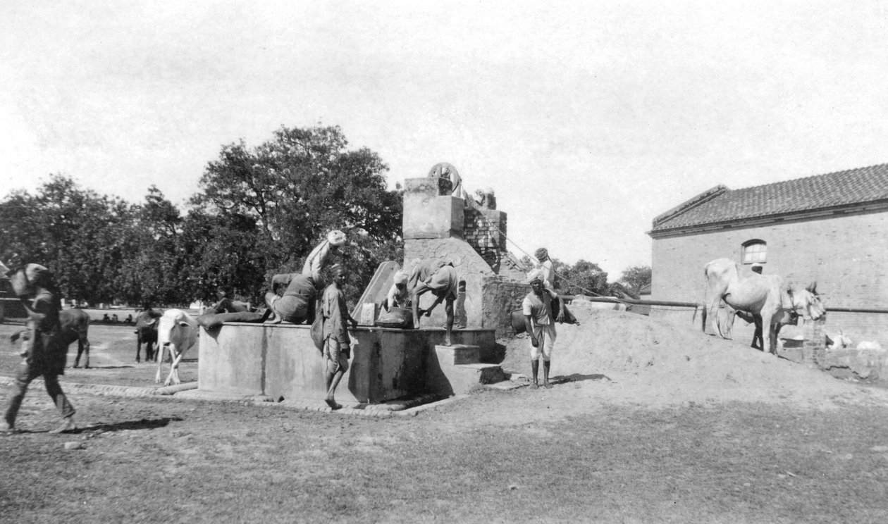 1916-1917年，印度马图拉，水井 作者 不明