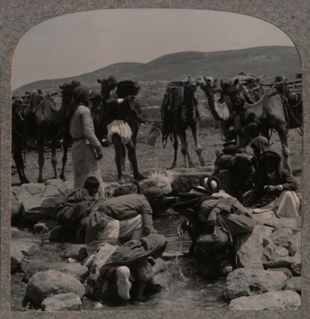 在雅各布斯井（Jacobs Well）浇水骆驼，摄于1900年 作者 不明