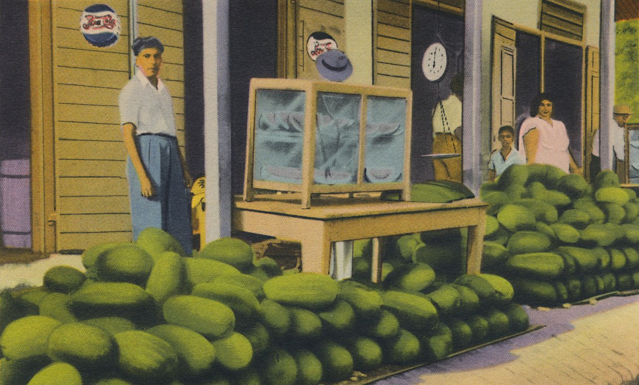 出售西瓜，特立尼达，BWI，c1940年代。 作者 不明