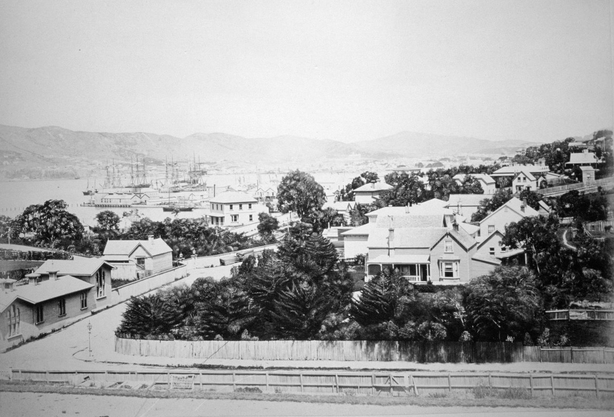 新西兰，惠灵顿，1875年 作者 不明