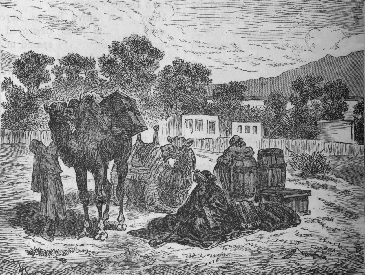 摩西的井，苏伊士附近，c1882 作者 不明