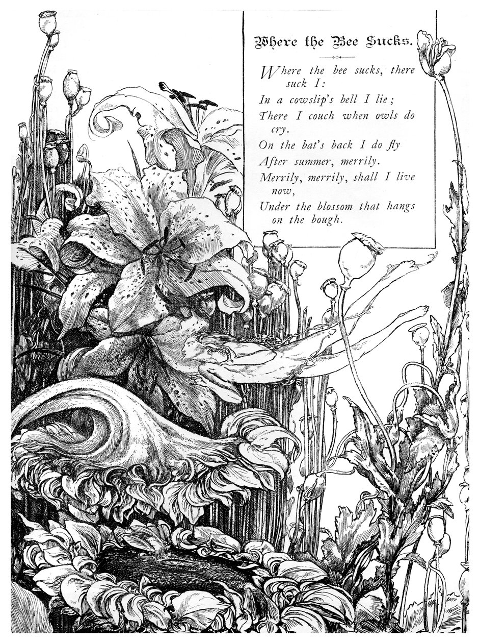 蜜蜂很烂的地方，1895年 作者 不明