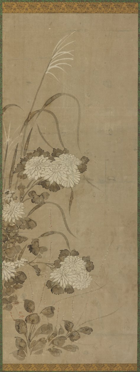 白菊花和草，江户时期，1615-1868。 作者 不明