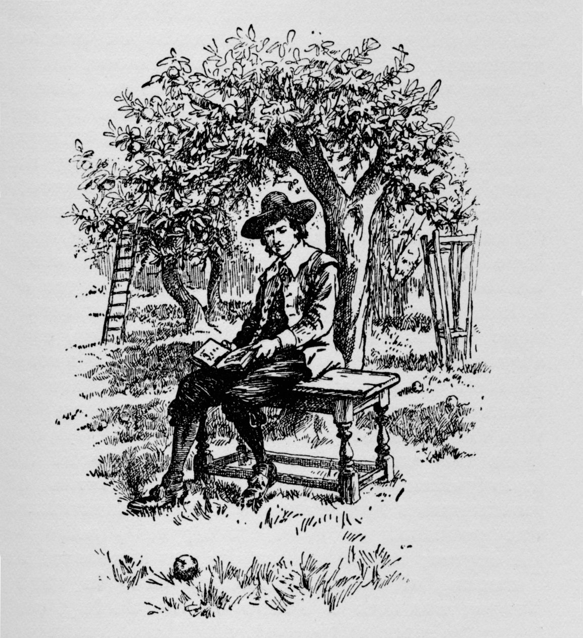 为什么苹果掉下来，C1918 作者 不明