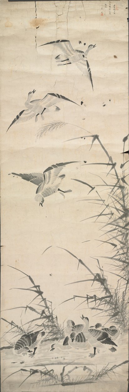 野鹅和芦苇，1392-1910年。 作者 不明