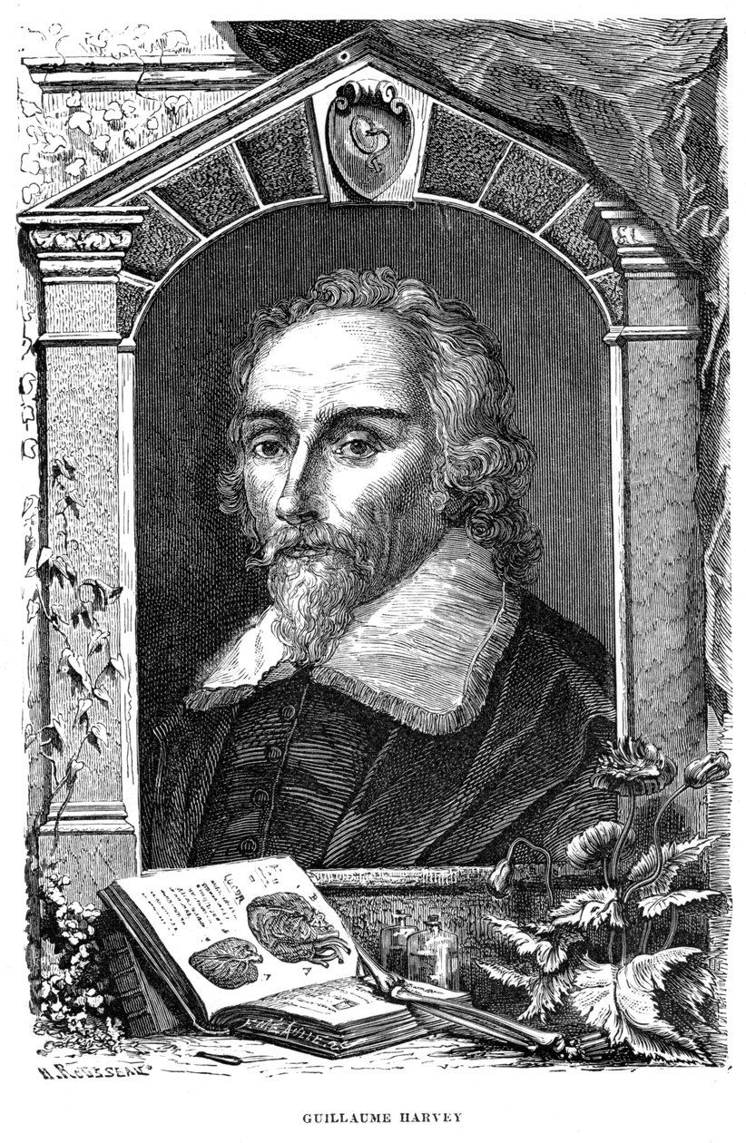 威廉·哈维1578-1657英国医师，17世纪 作者 不明