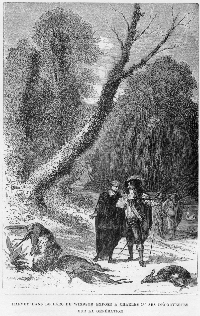 威廉·哈维（William Harvey），英国医师，位于温莎公园，17世纪，1870年 作者 不明