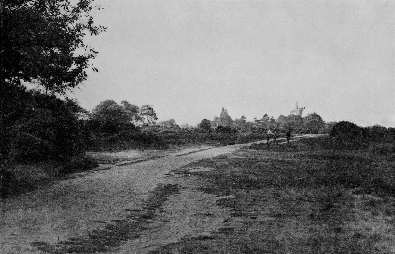 温布尔登常见风车，c1900，1912年 作者 不明
