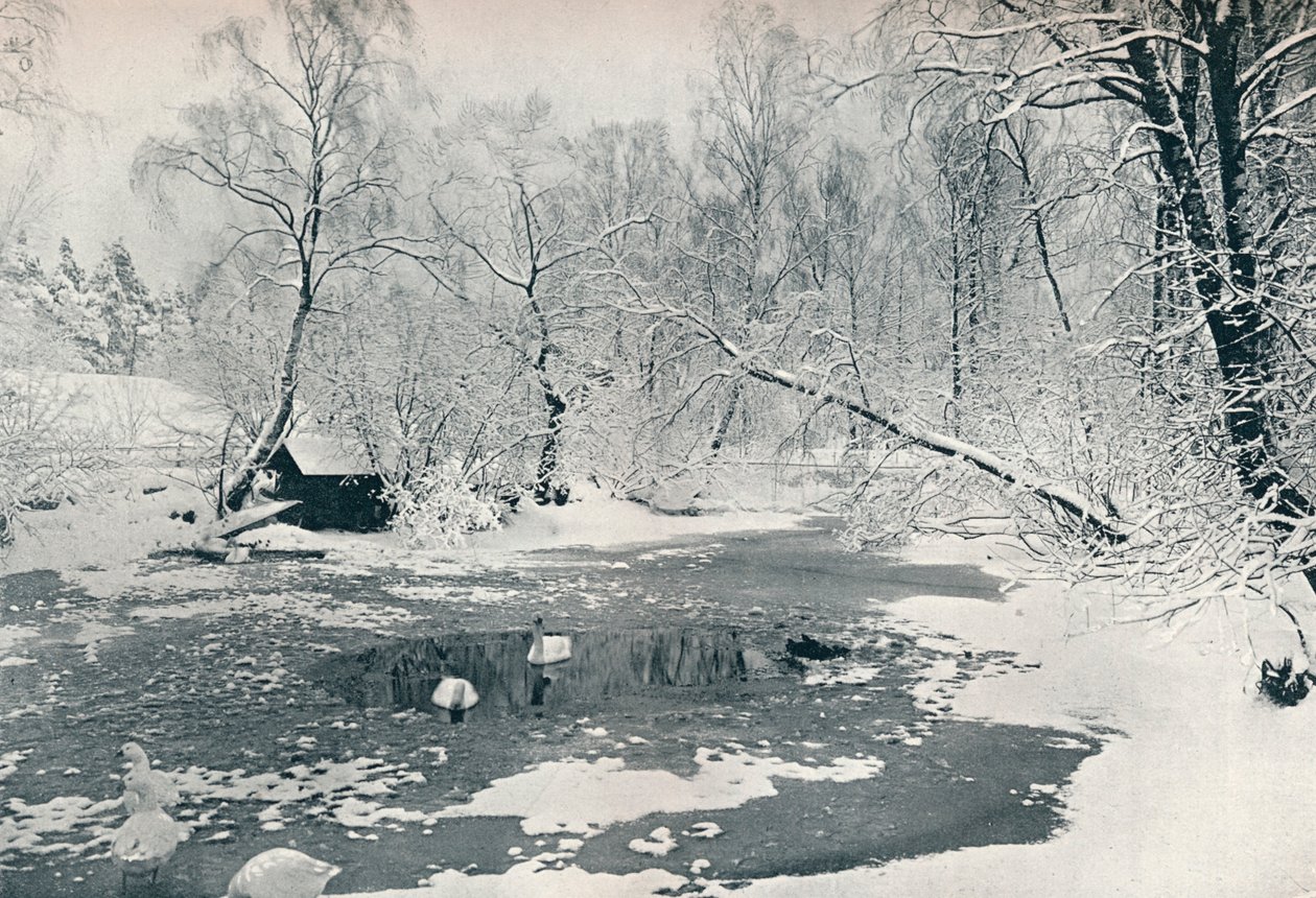 1900年在Skansen的露天博物馆的冬景 作者 不明