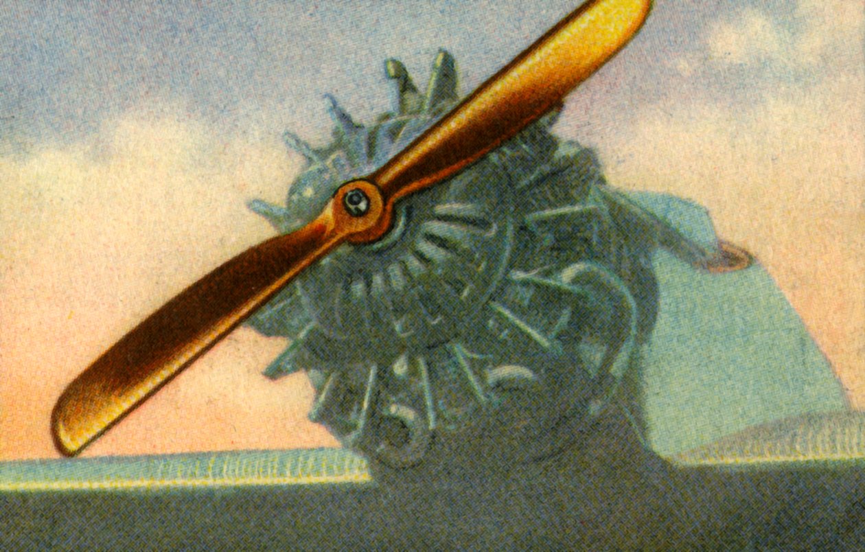 Schwarz Propeller-Werk公司制造的木制飞机螺旋桨，1932年。 作者 不明