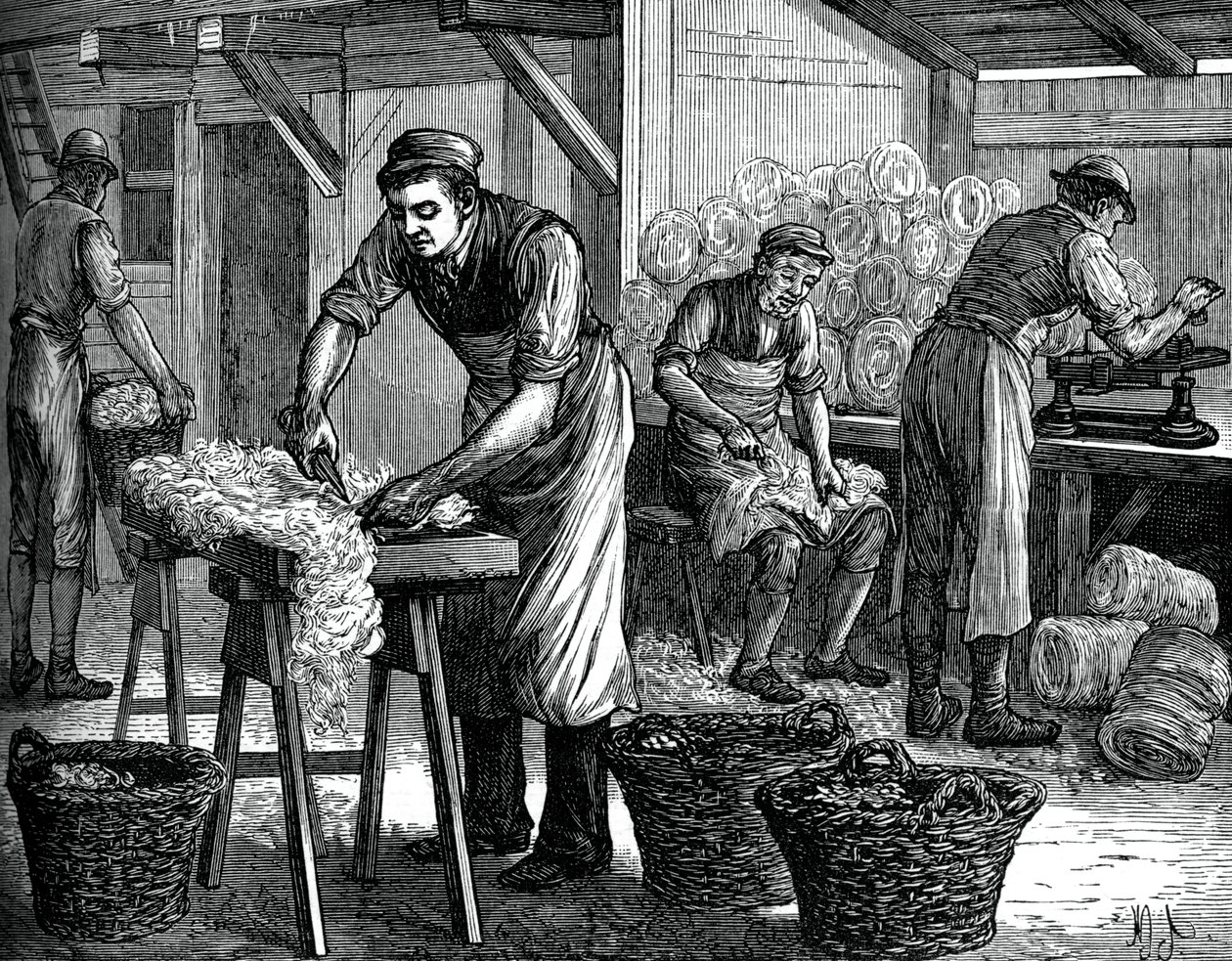 羊毛分选机，c1880 作者 不明