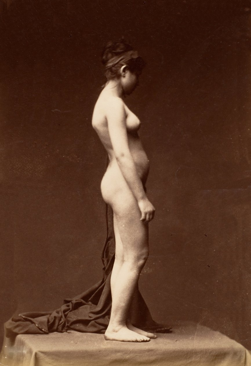 [年轻女子，裸体，轮廓完整]，1860年代。 作者 不明