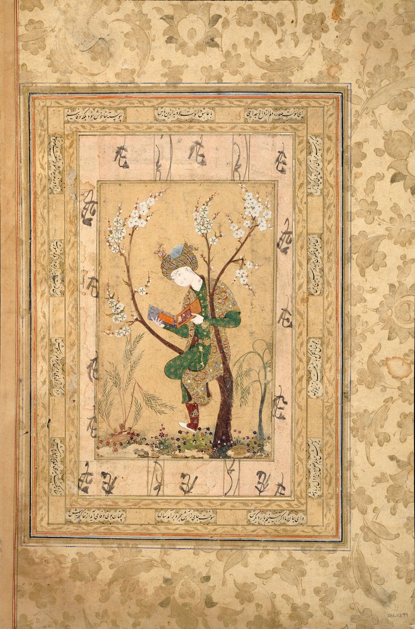 少年坐在一棵开花的树的叉子上，1560年代 作者 不明