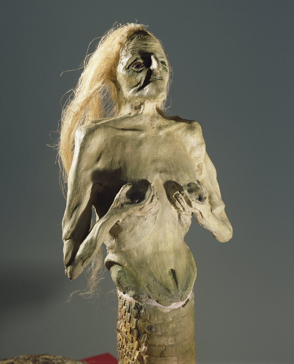1900年，半女人，半蛇生物，Melusine的产卵 作者 未知未知