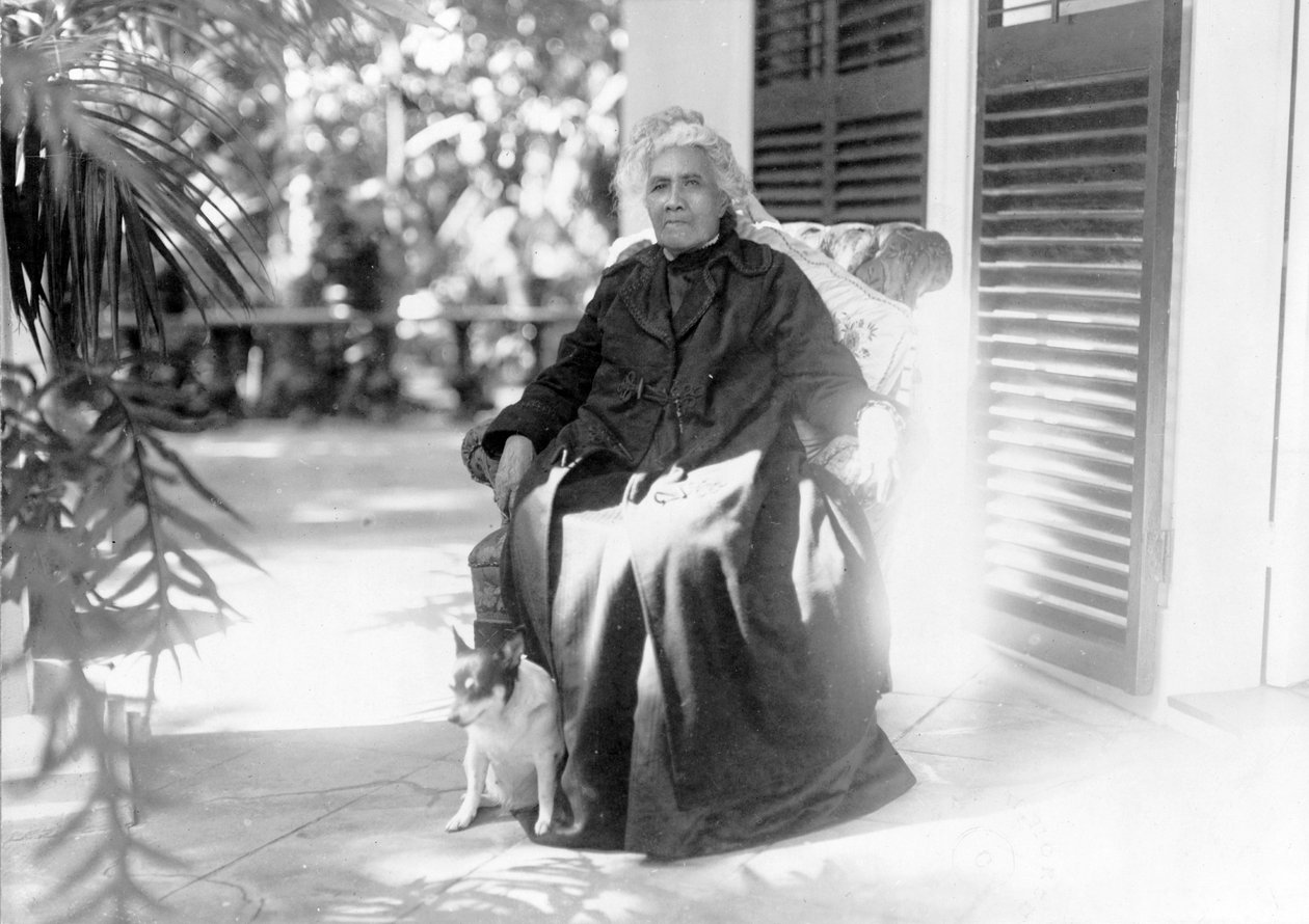 Liliuokalani，夏威夷女王，1917年 作者 未知未知