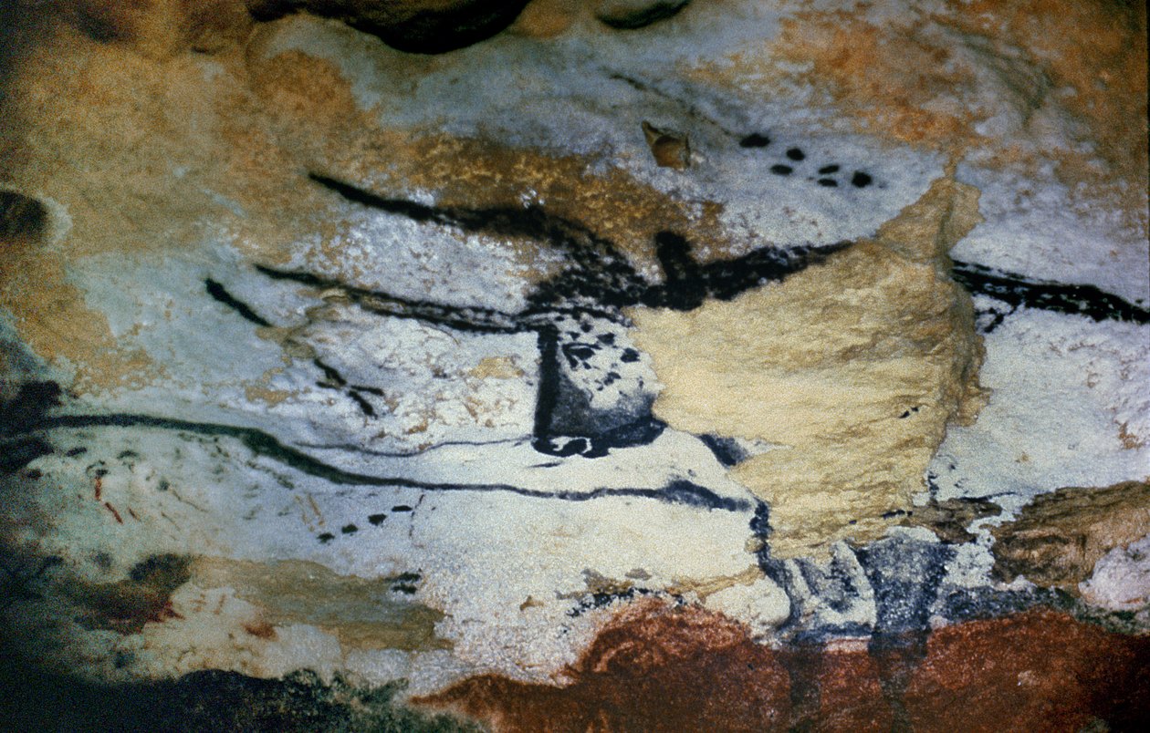 公牛的岩石绘画与长的垫铁，公牛的霍尔，c.17000 BC 作者 未知未知