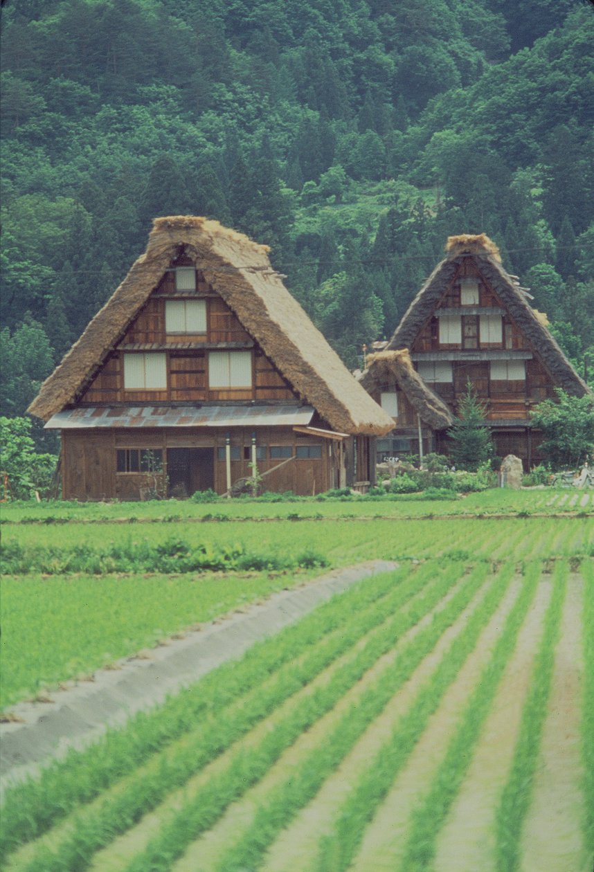 Shirakawa Village，Giju，日本 作者 未知未知