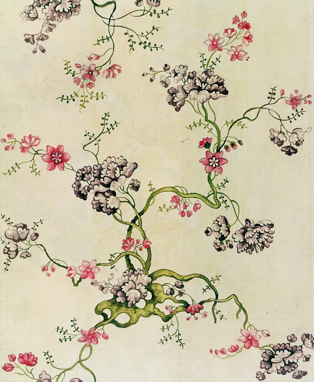 丝绸设计由Anna Maria Garthwaite设计，1740年 作者 未知未知