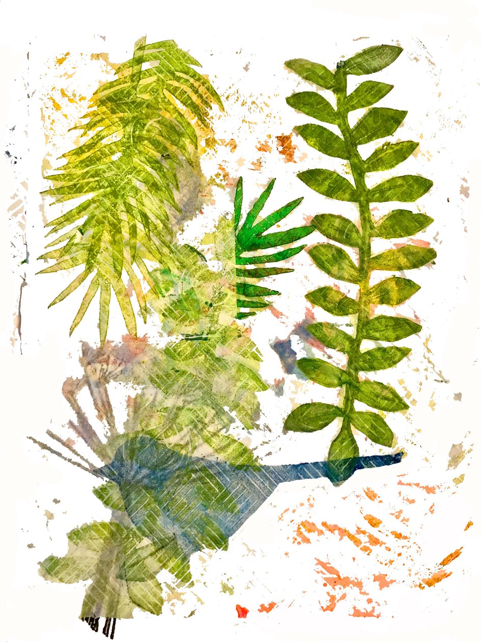 植物园丛林 作者 未知未知