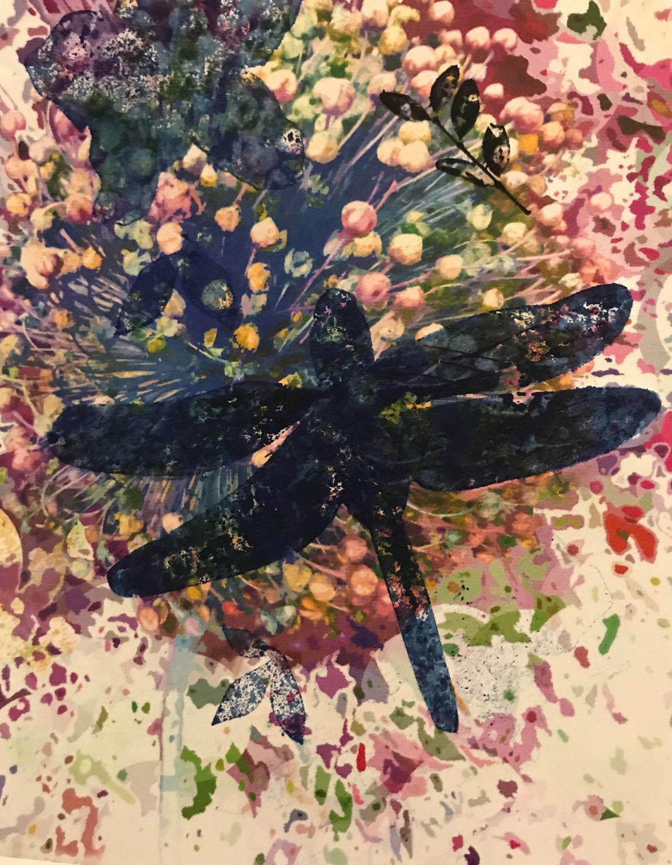 蜻蜓 作者 未知未知