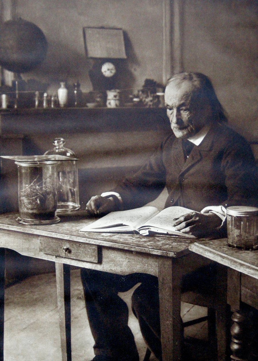 Jean-Henri Fabre，1913年 作者 未知未知