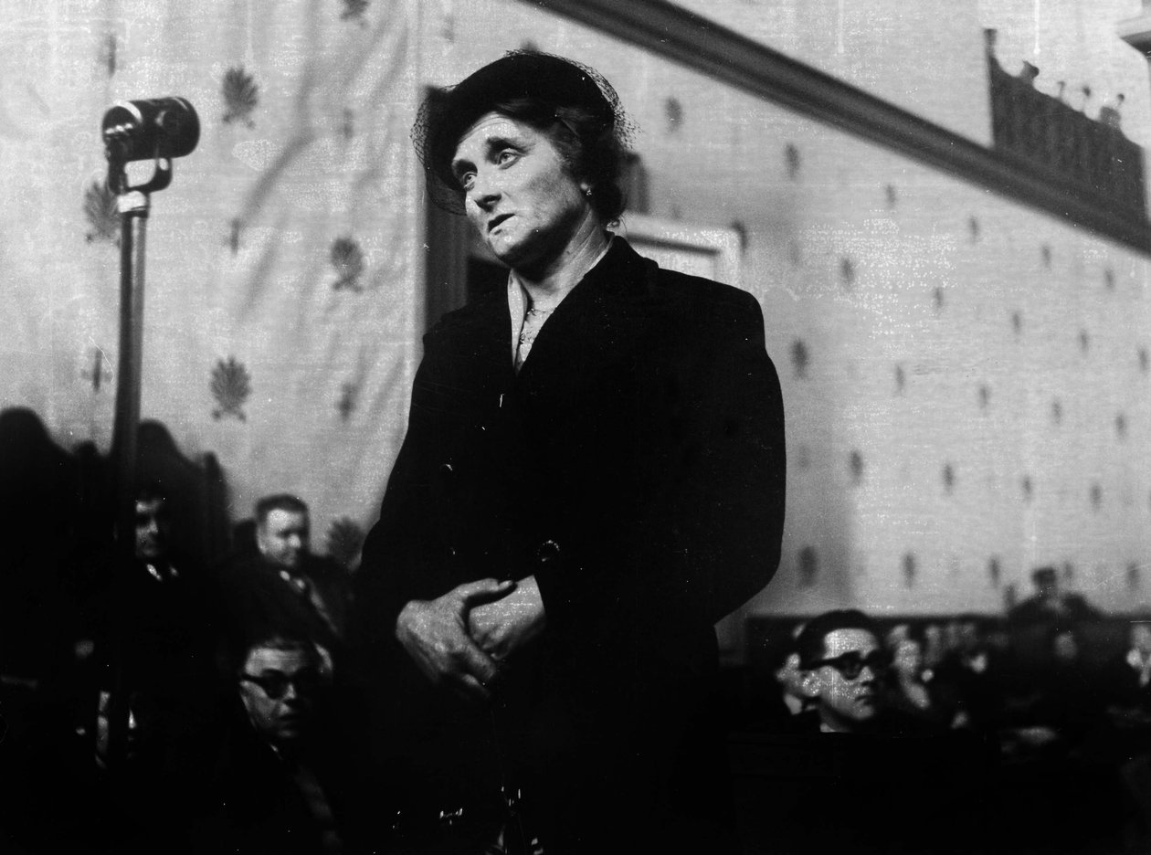 Marie Besnard在法国的事件 作者 未知未知