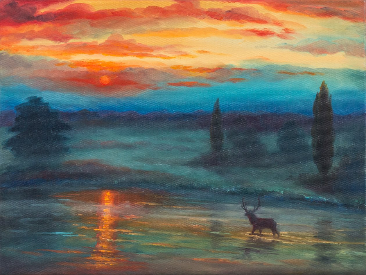 Pen Pond Richmond Park，2017， 作者 未知未知