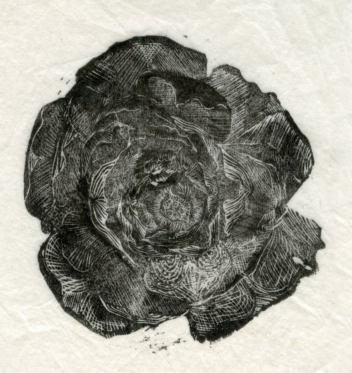Pine Rose，2014， 作者 未知未知