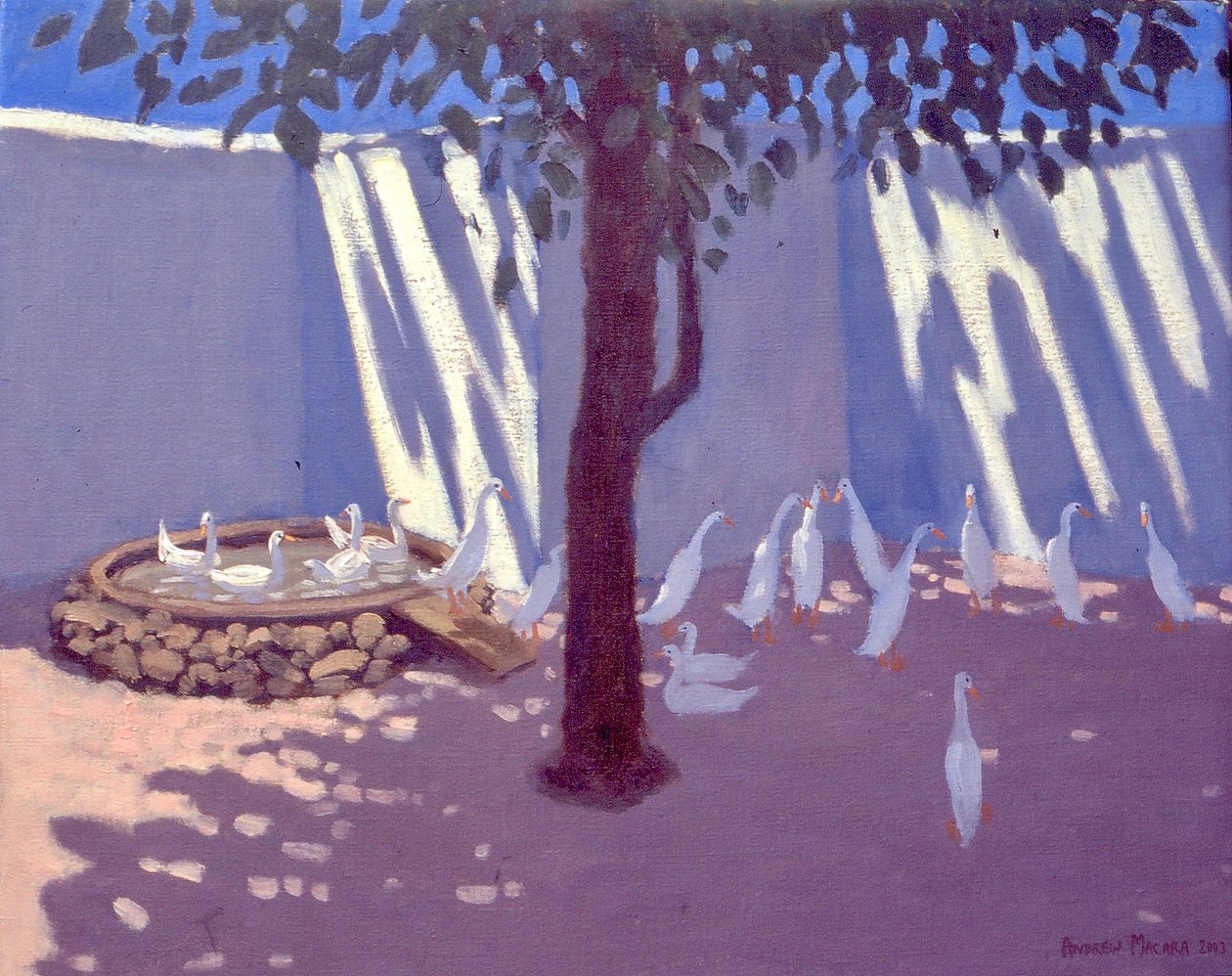 南非赛跑者鸭子，2011年 作者 未知未知