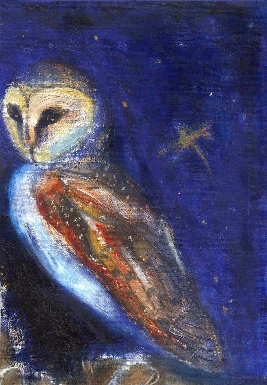 猫头鹰和金叶蜻蜓，2013， 作者 未知未知