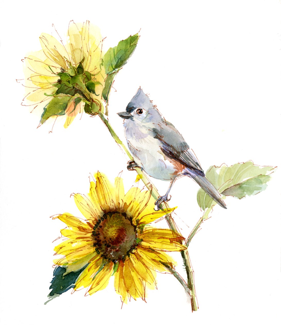 山雀与向日葵，2016年， 作者 未知未知