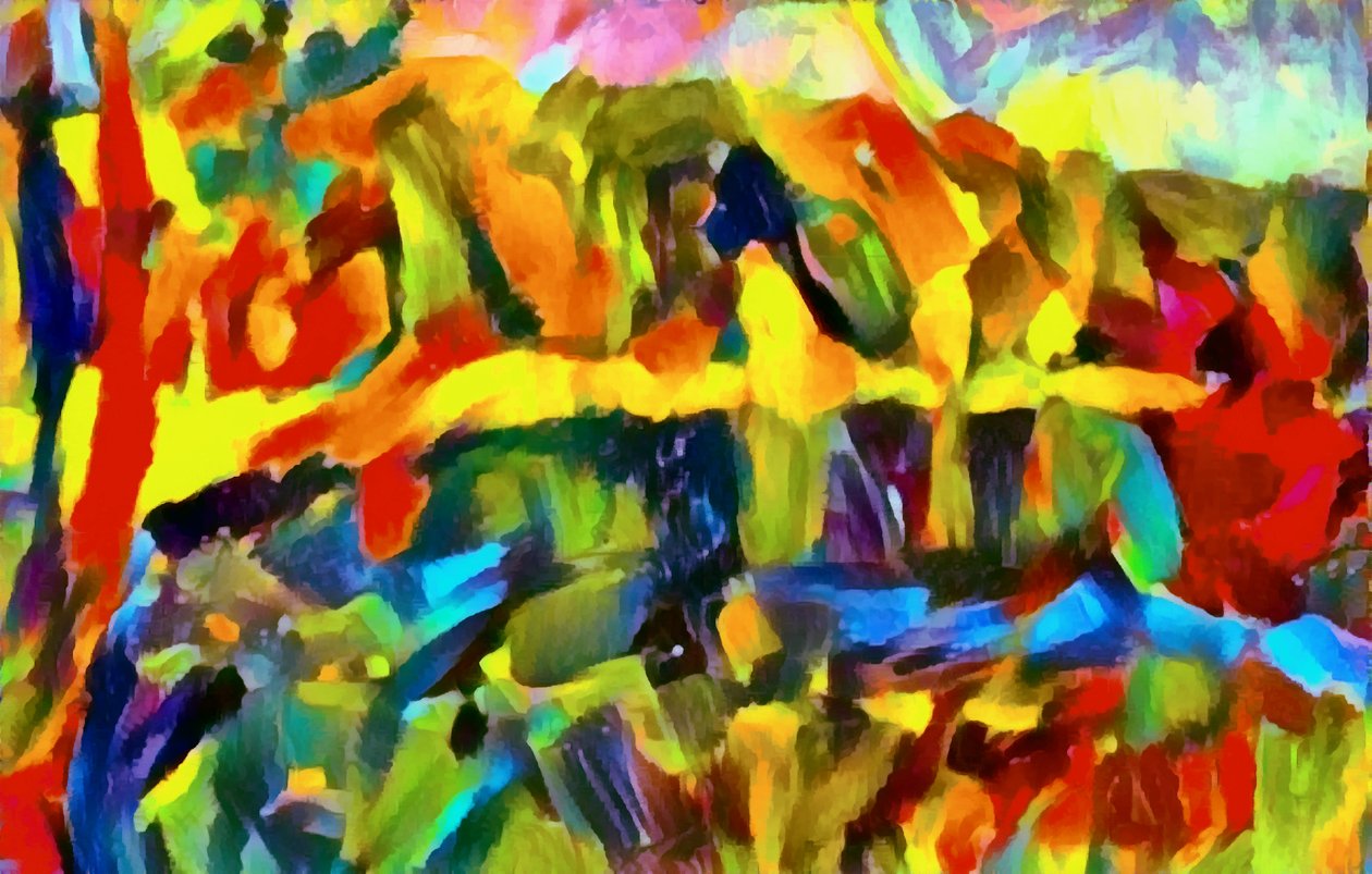 未知的图片 作者 未知未知