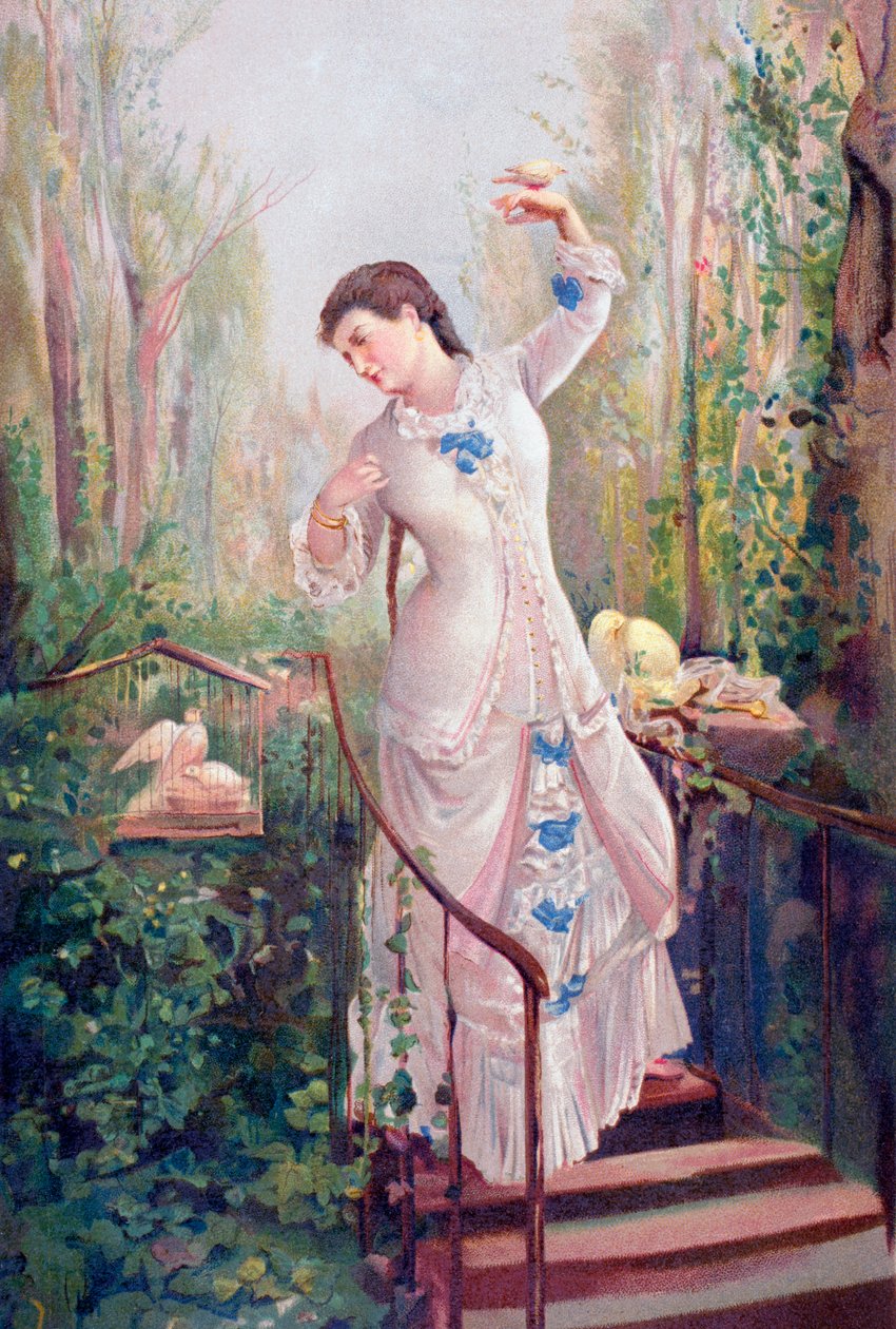 一个19世纪的女人在花园里和斑鸠在一起，根据拉蒙-马蒂-阿尔西纳的画作《La Tórtola Madre》绘制，出自《El Mundo Ilustrado》，在巴塞罗那出版。 作者 不明