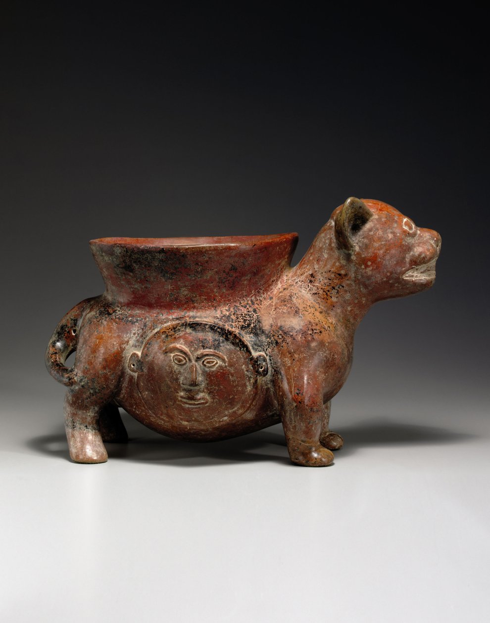科利马犬c。公元前100年至250年 作者 不明
