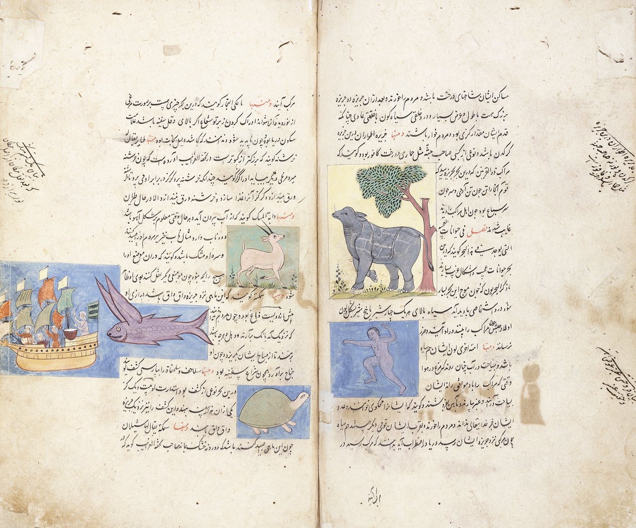 波斯手稿“ Aja” ib al-Makhluqat wa Ghara的页面“ ib al-Maujudat 作者 不明