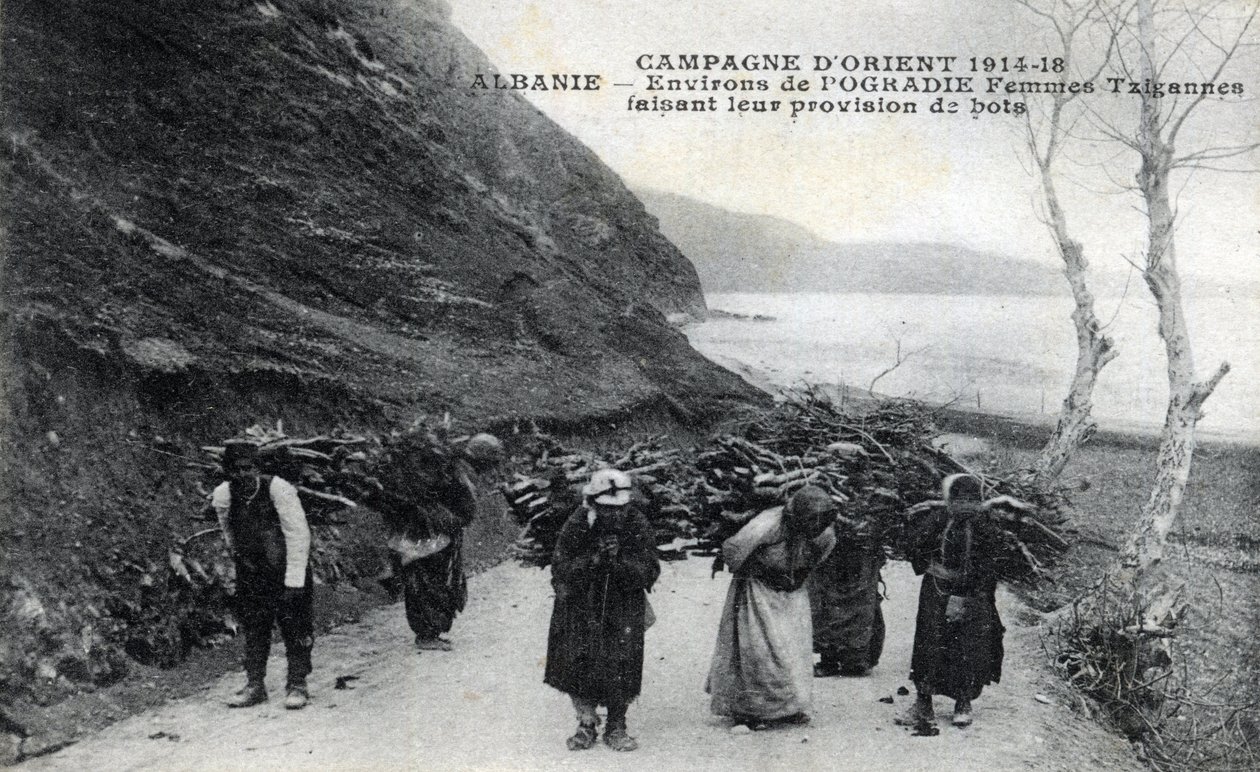 阿尔巴尼亚。吉普赛妇女背着木质包袱 - 明信片 1914-1918年 作者 未知艺术家