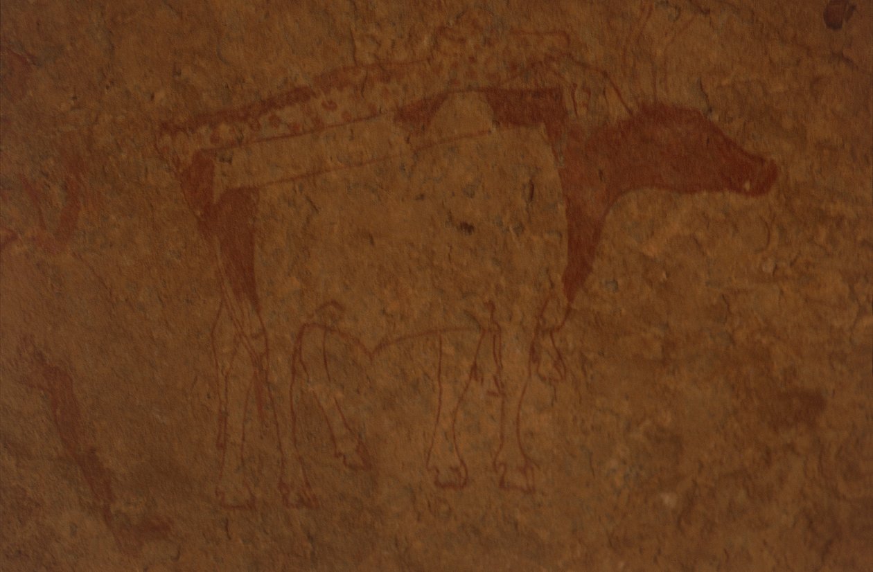 阿尔及利亚，撒哈拉沙漠，Tassili-n-Ajjer国家公园，Sefar遗址，描绘公牛的岩画。 作者 未知艺术家