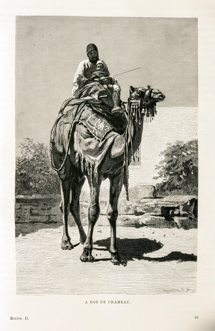 An Egyptian and his child on a camel - Illustration from the Atlas of Egypt 作者 不明