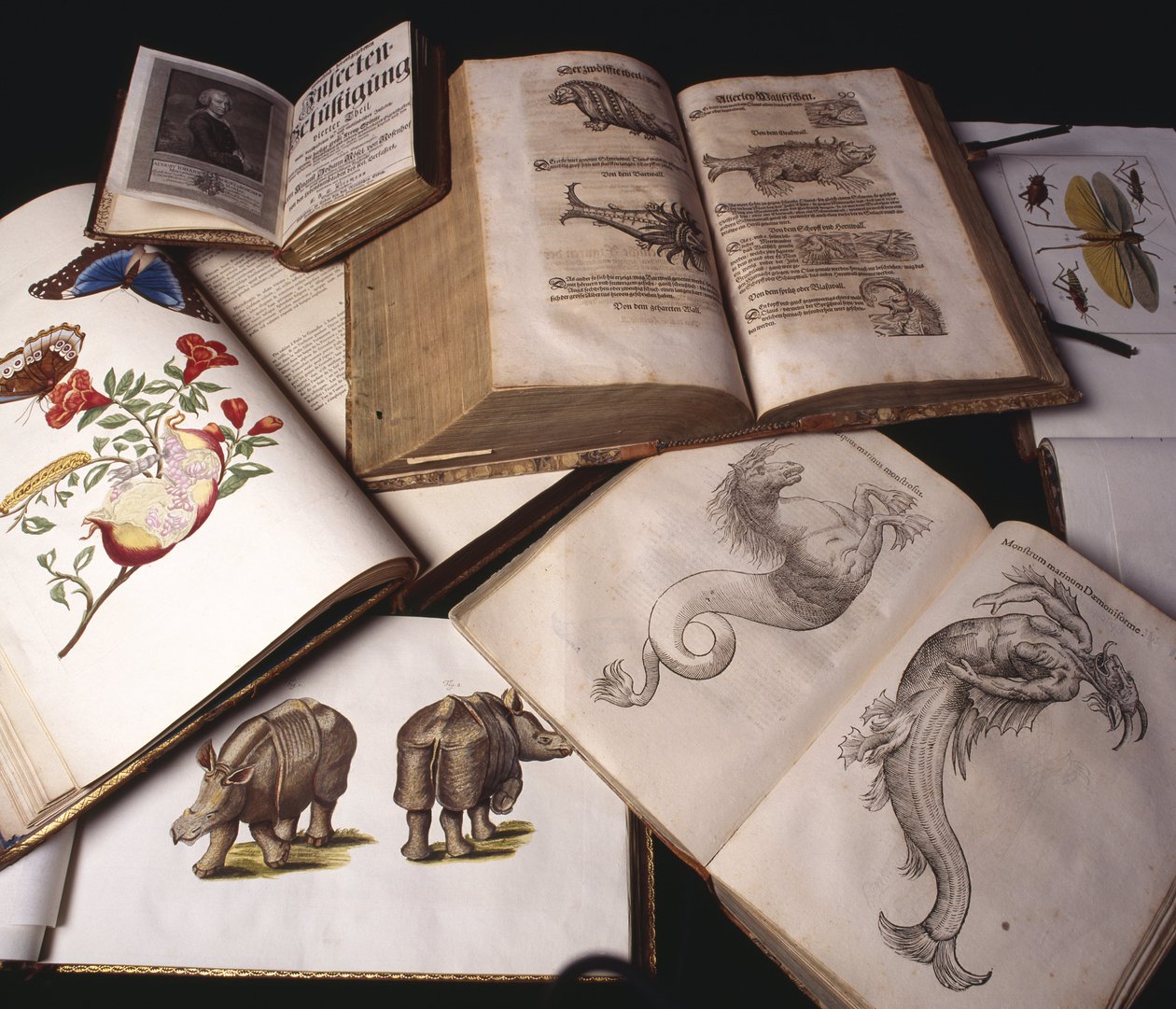 Ancient Zoology Books 作者 不明